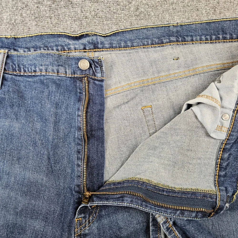 Levis levis 559